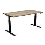 Elektrisch Zit Sta Bureau Pro