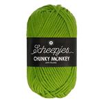 Scheepjes Chunky Monkey 100 gram 2016 Fern