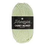 Scheepjes Chunky Monkey 100 gram 2017 Stone