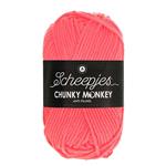 Scheepjes Chunky Monkey 100 gram 2013 Punch
