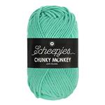 Scheepjes Chunky Monkey 100 gram 1422 Aqua