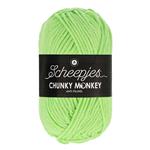 Scheepjes Chunky Monkey 100 gram 1316 Pistachio