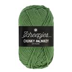 Scheepjes Chunky Monkey 100 gram 1824 Pickle