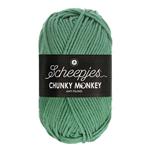 Scheepjes Chunky Monkey 100 gram 1725 Eucalyptus