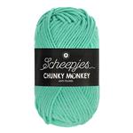 Scheepjes Chunky Monkey 100 gram 1422 Aqua