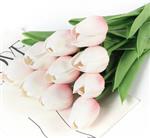Actie Tulp Tulpen 33cm bundel kleur Ivory, lichtroze blos / Bundel +/-10st Zijde Tulpen Real Touch F