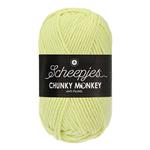 Scheepjes Chunky Monkey 100 gram 1020 Mint