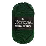 Scheepjes Chunky Monkey 100 gram 1009 Pine