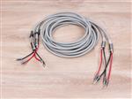 Atlas Cables Ascent Grun highend audio speaker cables 5,0 metre