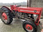 MF 135 Massey Ferguson 135