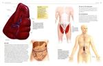 atlas van het menselijk lichaam