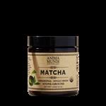 Matcha | Organic + Ceremonial Grade