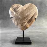 GEEN RESERVEPRIJS - Prachtig hart van versteend hout op een aangepaste standaard - Gefossiliseerd ho