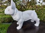 Beeld, French bulldog white garden or for indoor - 39 cm - polyresin