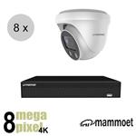 Mammoet 4K IP camerasysteem - 8 turret dome camera's - slimme bewegingsdetectie - motorzoom | ips88m