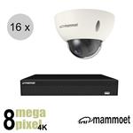 Mammoet 4K IP camerasysteem - 16 dome camera's - slimme bewegingsdetectie - 20m nachtzicht | ips168m