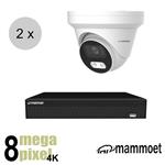 Mammoet 4K IP camerasysteem - 2 turret dome camera's - slimme bewegingsdetectie - 25m nachtzicht | i