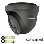 Mammoet 8MP/ 4K IP dome camera  - slimme detectie  - motorzoom - 25m nachtzicht | MAMDM2
