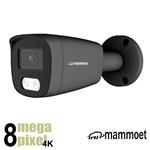 Mammoet 8MP/4K IP bullet camera - slimme detectie - 25m nachtzicht - SD slot - 2,8mm | MAMB3