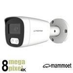 Mammoet 8MP/4K IP bullet camera  - slimme detectie - 25 m nachtzicht - SD slot - 2,8mm| MAMB2