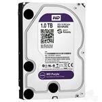 1000gb Western Digital Purple Sata - ata5