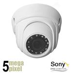 5 megapixel IP camera - 30m nachtzicht - motorzoom - WDR - Sony CCD OnVif - 5mpv3