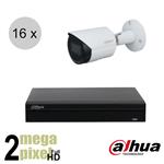 Dahua Full HD IP cameraset - WizSense - 16 bullet camera's - starlight - audio - 2.8mm - 30m - ips16