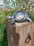 Beeld, beautiful turtle in silver  patina bronze color - 14 cm - polyresin