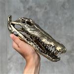 sculptuur, No Reserve Price - Polished Bronze Saltwater Crocodile Skull - Crocodylus Porosus - 5 cm 