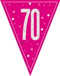 GLITZ 70 Roze Vlaggen Banier, 9 ft, Prismatisch Plastic