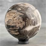 GEEN RESERVEPRIJS - Prachtige versteende houten bol op een aangepaste standaard - Gefossiliseerd hou