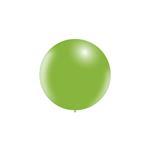 Appelgroene Reuze Ballon XL 60cm