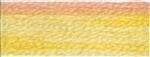DMC Colour variations 4100 borduurgaren