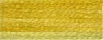 DMC Colour variations 4075 borduurgaren