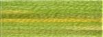 DMC Colour variations 4070 borduurgaren