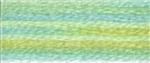 DMC Colour variations 4060 borduurgaren