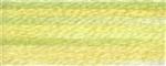 DMC Colour variations 4080 borduurgaren