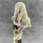 Snijwerk, NO RESERVE PRICE - A Bear Carving from a deer antler on a custom stand - 15 cm - Hertengew