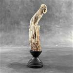 Snijwerk, NO RESERVE PRICE - A Goat Carving from a deer antler on a stand - 16 cm - Hertengewei - 20
