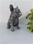 Beeld, Franse Buldog - 29 cm - cast stone