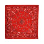 ZAN Headgear bandana rood paisley patroon