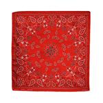 ZAN Headgear bandana rood paisley patroon