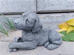 Beeld, beautiful statue with fine patina dog with bone - 23 cm - cast stone