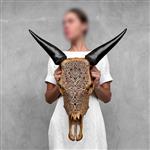GEEN RESERVE PRIJS - Skull Art - Authentieke bruin gesneden koeienschedel - Star Mandala-motief - Ge
