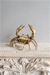 sculptuur, NO RESERVE PRICE - Polished Bronze Crab Sculpture - Sooka Interior - 14 cm - Brons
