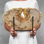 GEEN RESEREPRIJS - Prachtig stuk versteend hout met standaard - Gefossiliseerd hout - Petrified Wood