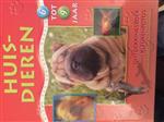 Huisdieren  Ontdekkingsboek met kleurenfoto's