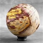 GEEN MINIMUMVERKOOPPRIJS - Prachtige bol van versteend hout op een aangepaste standaard - Gefossilis