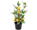 Decoratief ornament - 2Pcs Artificial Lemon Tree + Pot - Azië