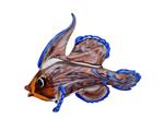 Beeldje - Mandarin fish - Glas